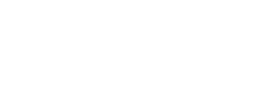 FVMapile Incorporated (FVMI)